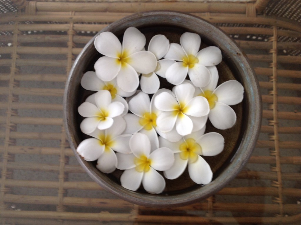 Floating Champa flowers